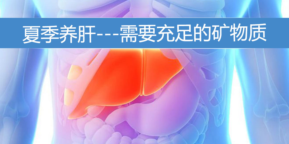 夏季養(yǎng)肝需要充足的礦物質(zhì)，保護肝功能