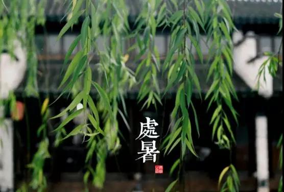 處暑養(yǎng)生小常識，謹(jǐn)記滋陰潤肺防秋燥