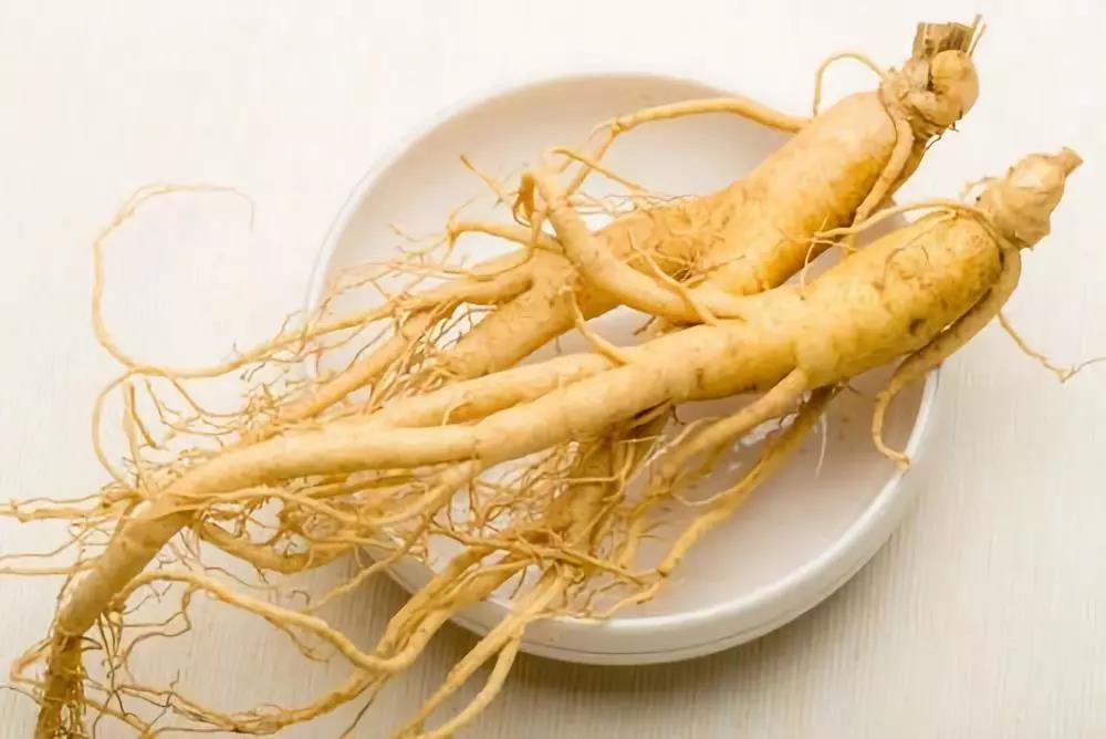 秋季養(yǎng)肺潤(rùn)肺，能吃人參皂苷嗎？