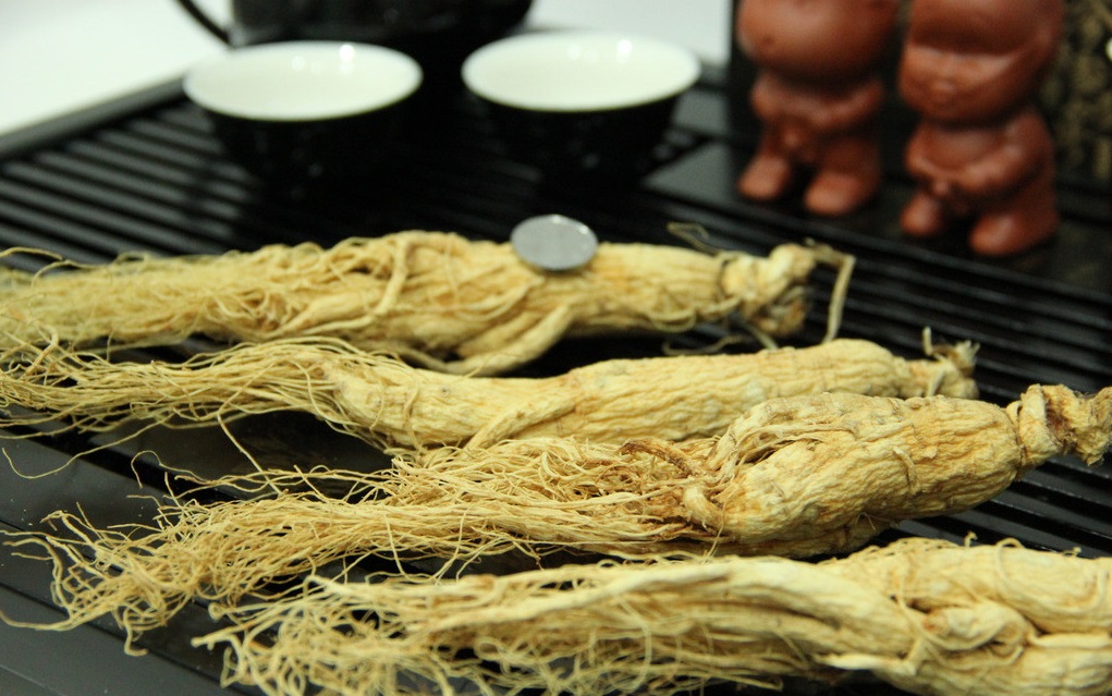 什么是人參皂苷？它對人體的健康有哪些功效？