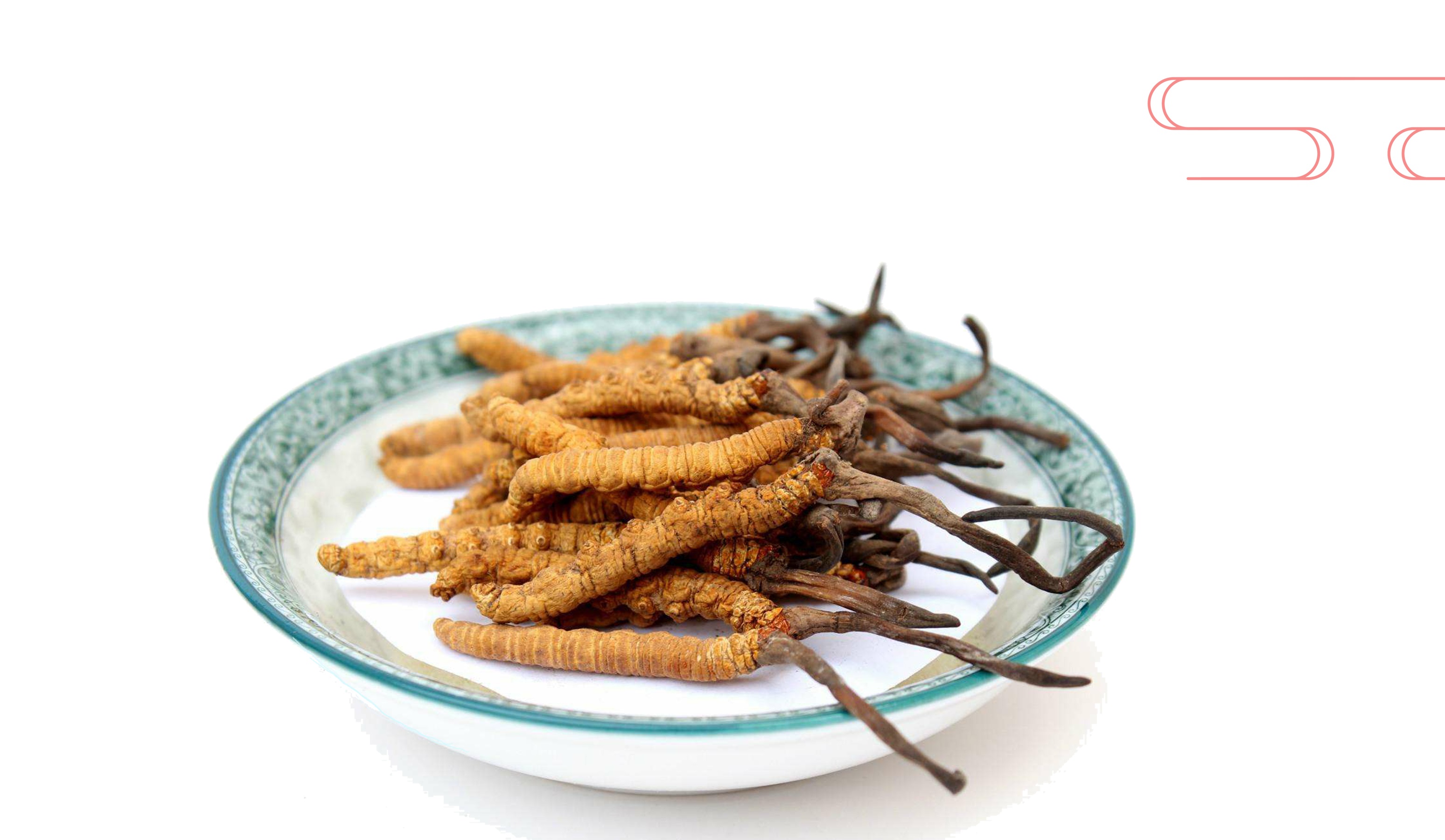 冬蟲(chóng)夏草對(duì)肝星狀細(xì)胞生長(zhǎng)的作用