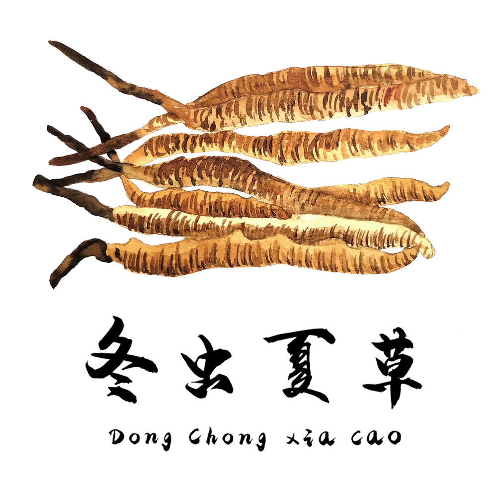 對于食道癌，冬蟲夏草有一定的改善作用