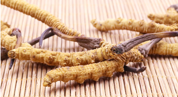 萬(wàn)萬(wàn)沒(méi)想到冬蟲(chóng)夏草竟然有這么多的好處