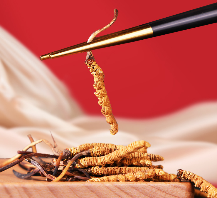 牢記3個(gè)食用冬蟲(chóng)夏草的要點(diǎn)