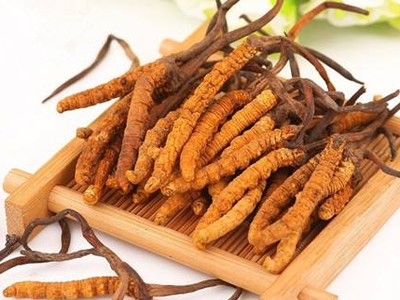 蟲草素？冬蟲夏草里的蟲草素是什么？