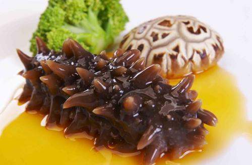 關(guān)于海參的冷知識(shí)，您知道嗎？
